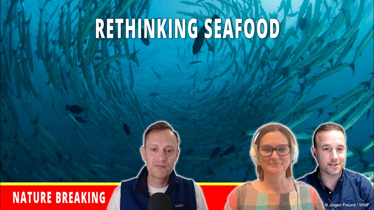 Rethinking Seafood and the Future of our Oceans