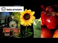 Baby Shakespeare Baby Einstein Classics Learning Show For Toddlers Kids Cartoons