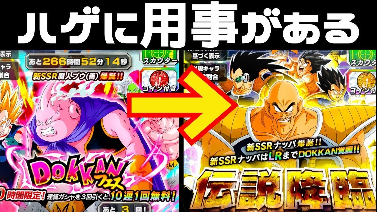 【ドッカンバトル567】スタート神引きからのターゲットハゲちょびん【Dragon Ball Z Dokkan Battle】