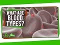What are Blood Types? 