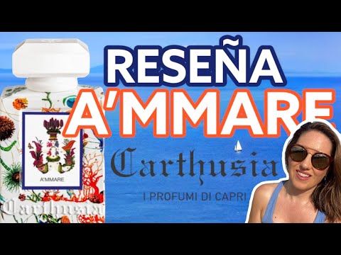 Reseña AMMARE CARTHUSIA |Perfume MARINO ELEGANTE|BRISA Marina embotellada|