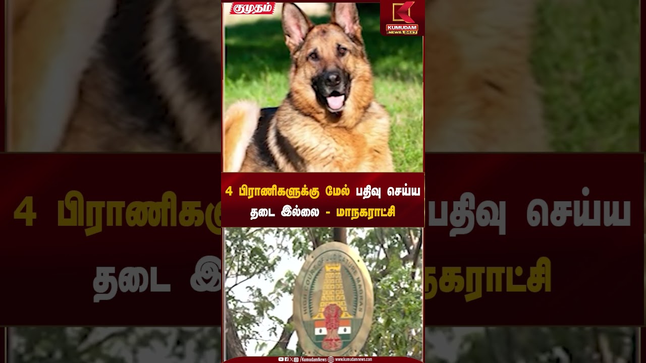 4 பிராணிகளுக்கு மேல் பதிவு செய்ய தடை இல்லை - மாநகராட்சி | Pet Registration | Kumudam News