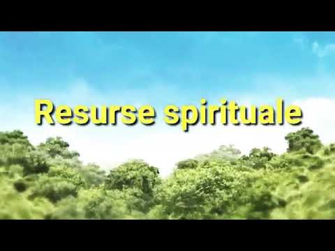 Norii negri de -ar veni   rugul aprins valencia