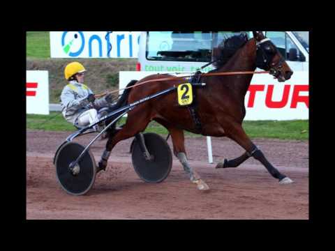 Pronostics quinté vincennes le 02 Février 2017