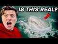 6 Deadly Sea Monsters That Actually Exist DEFAULT Thumbnail