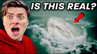 6 Deadly Sea Monsters That Actually Exist MQDEFAULT Thumbnail