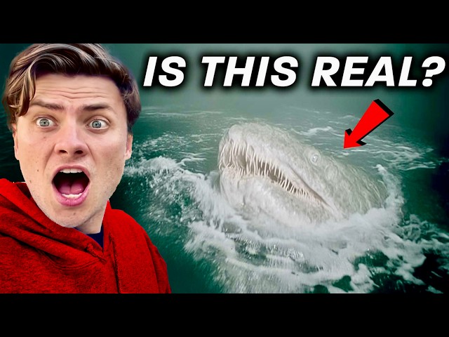 6 Deadly Sea Monsters That Actually Exist SDDEFAULT Thumbnail