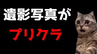 【猫ミーム】遺影写真がまさかのプ●クラ！？！？葬儀社にアルバイトとして勤めていたお話その65