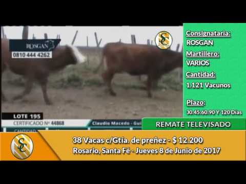 08-06-17 - Ventas de Vientres - Remate Televisado de ROSGAN - Rosario
