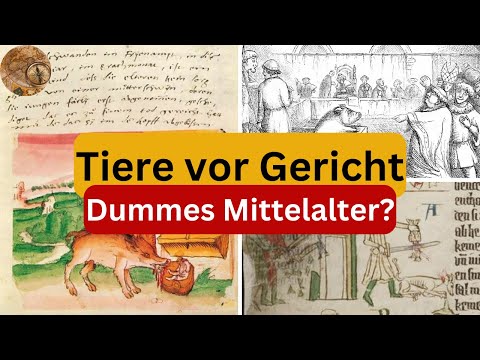 [Tierprozesse im Mittelalter] - Was war der Sinn & war es wirklich so dumm wie es klingt?