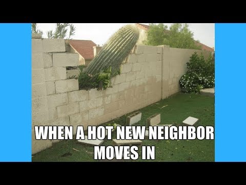 Funny Neighbor Meme Video