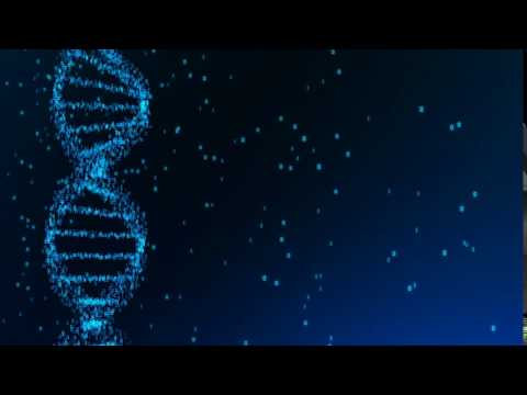 Digital DNA
