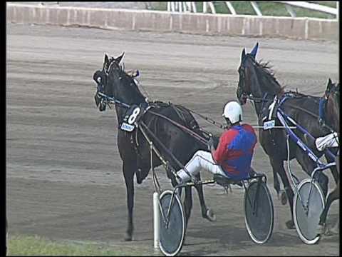 Trotto 29/05/2016 - 4° corsa