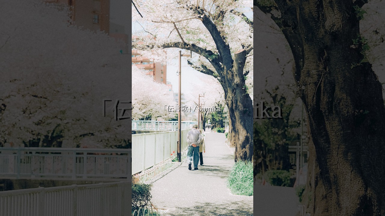 sumika  /「伝言歌」(AL『Familia』収録) #sumika_伝言歌