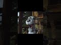 Hoodwinked Goat Did I Did I Meme Template