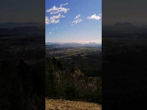 Ans. Laufarji- Mlad sem deklič