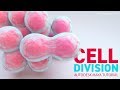 Animate Cell Division Metaballs In Maya Using Particles Medical Animation Tutorial