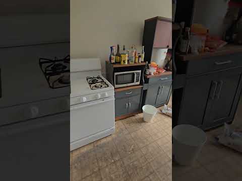 227 Freeman St - Video 6 of 6