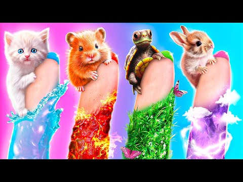 4 Element Evcil Hayvanlara Yardım Ettim! Gerçek Hayatta Olağanüstü Kurtarma!