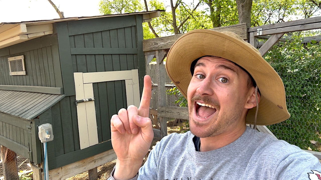 my #1 piece of advice for keeping chickens 🐔