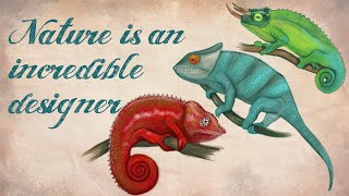 Drawing to find inspiration: Chameleons