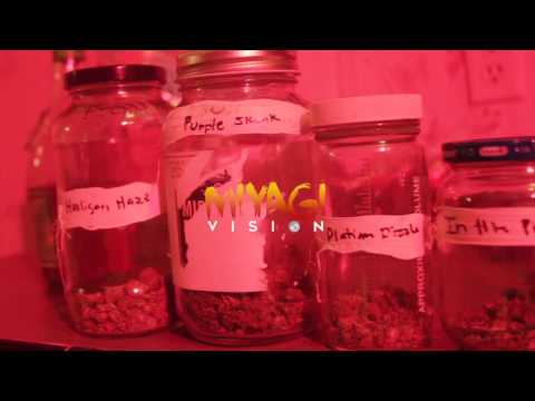 Cush Cologne ( official video ) Wochee x Dinero Costello