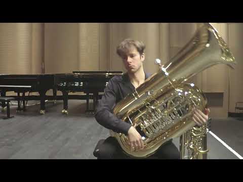 Orchesterstellen Tonnhalle audition