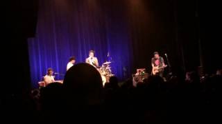 9. We Are All Bat People - Hank Green and the Perfect Strangers