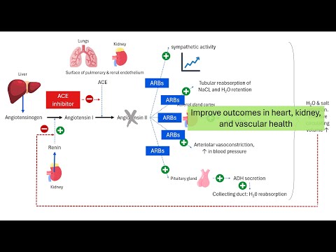 ACE Inhibitors vs ARBs: Which Is Better | PHARMACOLOGY Explained