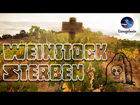 Plötzlicher Weinreben Tod | Erkennen, Bestimmen und Vermeiden
