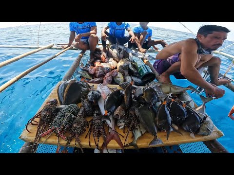 2 DAYS 1 NIGHT spearfishing adventure, ito na lahat ng huli namin