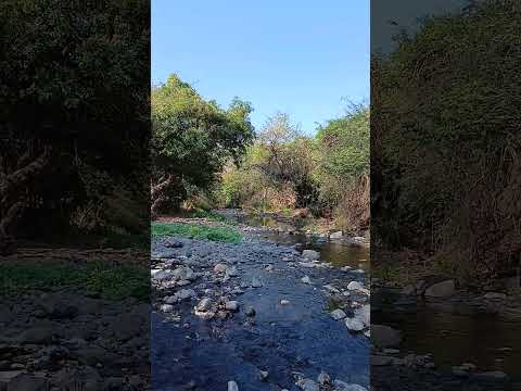 Sensuntepeque Cabañas 🇸🇻