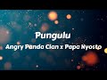 Angry Panda Clan Ft. Papa Nyosto - Pungulu Lyrics