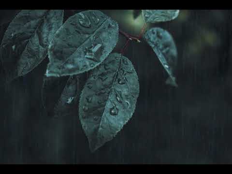 Lost Without You · Daniel Robinson | (Rain edition)