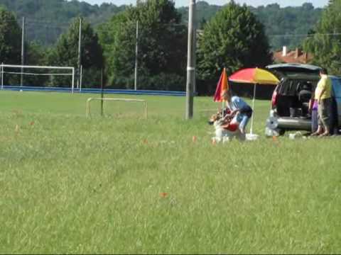 Czech mountain dog coursing
