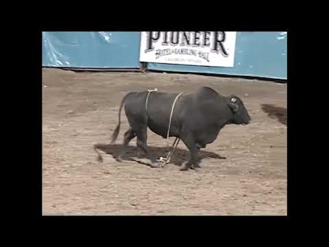 Jaron Nunnemaker vs True Grit - 00 PBR Laughlin (87.5 pts)