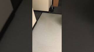 Monroe Community College MCC Canal Hall Dorms (first year students only)