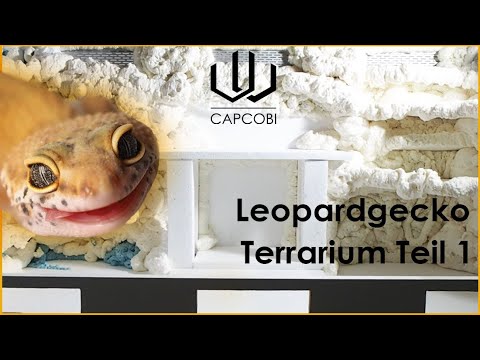 Leopardgecko Terrarium bauen Part 1 |  CapCobi
