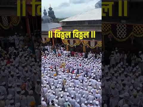 Vitthal Vitthal everywhere.🔊