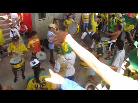 "La previa, Fortaleza leoparda sur 2014" Barra: Fortaleza Leoparda Sur • Club: Atlético Bucaramanga • País: Colombia