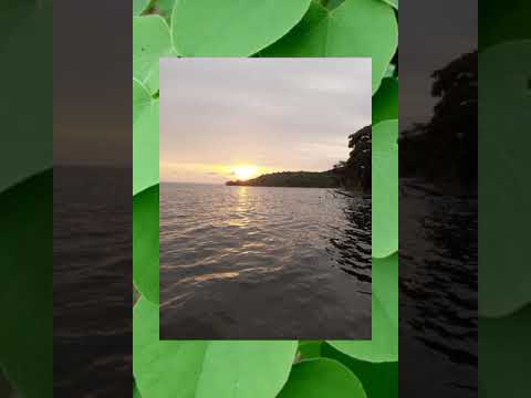 Katwetereze -5 - Ensawo ya ba Jajja