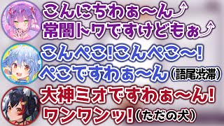 語尾が「わぁ〜ん」になり、謎テンションで始まる自己紹介シーン【ホロライブ切り抜き/白上フブキ/大神ミオ/兎田ぺこら/常闇トワ/輪堂千速】