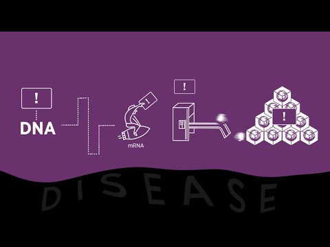 What is RNAi and How Do RNAi-based Medicines Work?