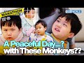 1HR HoWoo Marathon Pt 14 The Return Of Superman KBS WORLD TV