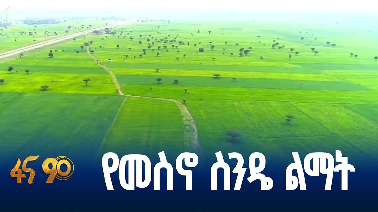 ተጨባጭ ውጤት የተገኝበት  የስንዴ ልማት