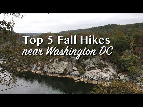 Top 5 Fall Hikes Near Washington DC