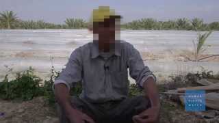 إسرائيل ـ الزراعة في المستوطنات تضر أطفال الفلسطينيين 
