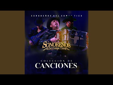 Cicatrices (En Vivo)