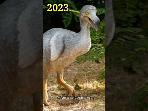 2023 Dodo Birds and 5000 Bce Dodo Birds || Ancient Creatures #shorts #shortsvideo #youtubeshorts