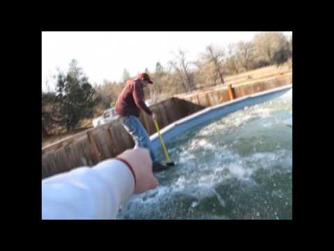 GUARDATE COSA FA QUESTO RAGAZZO!!! GUARDATE FINO ALLA FINE!!!